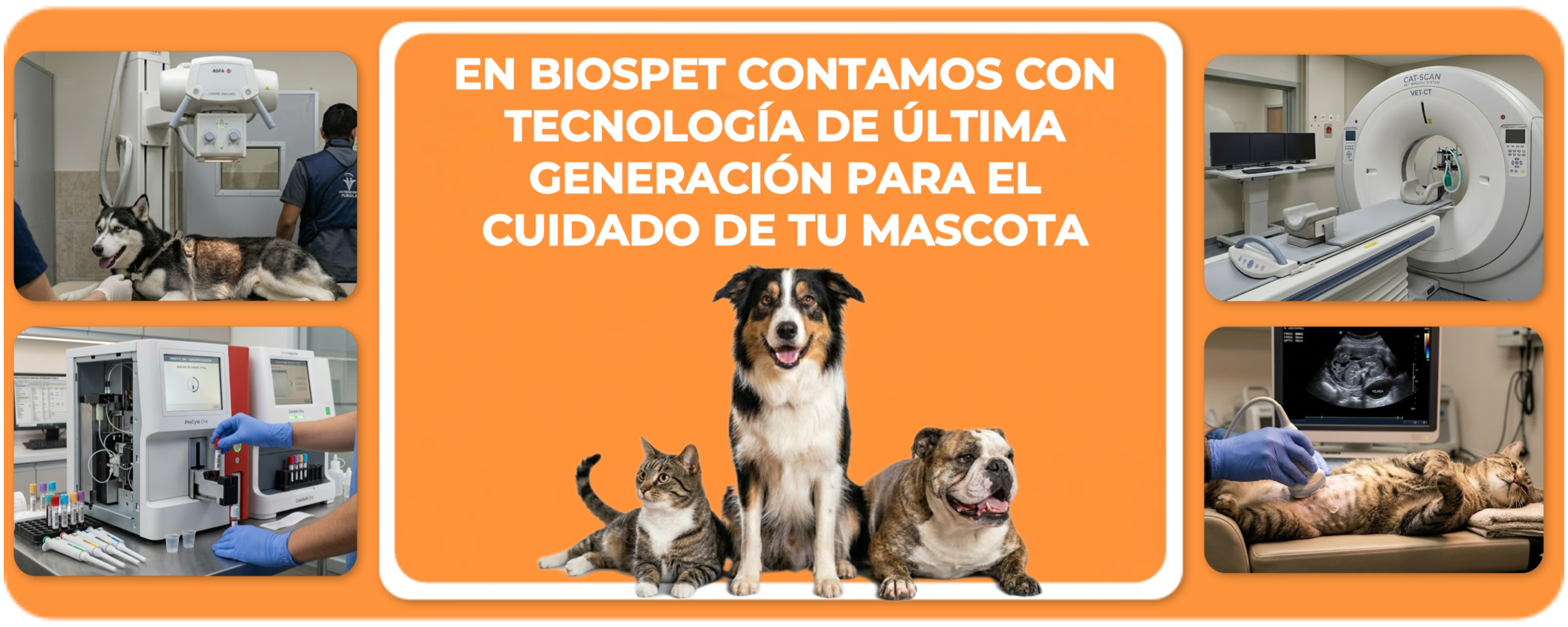 Collage BIOSPET
